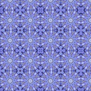 Hydrangeas Kaleidoscope 1463