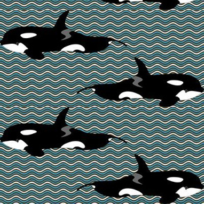 Catch those Killer Whale Waves