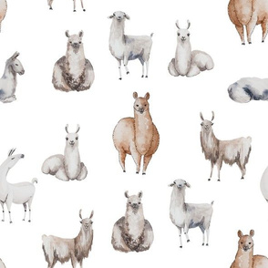 Bohemian Llamas // White