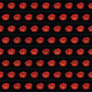 Red Sunflower on Black Upholstery Fabric