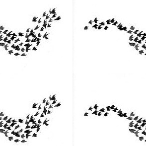 Birds of a Feather - Black/Grey