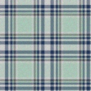 Trendy Lime Sherbet and Navy Plaid 2