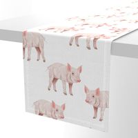 Piggies - Larger Scale