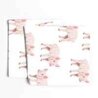 Piggies - Larger Scale