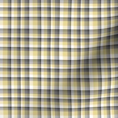 silver_sebright_plaid_2x2