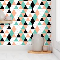 Geometric Triangles Salmon Eggshell