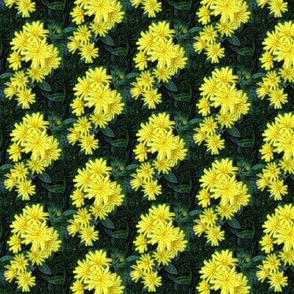 Yellow flower 1