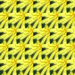 yellow flower bloom
