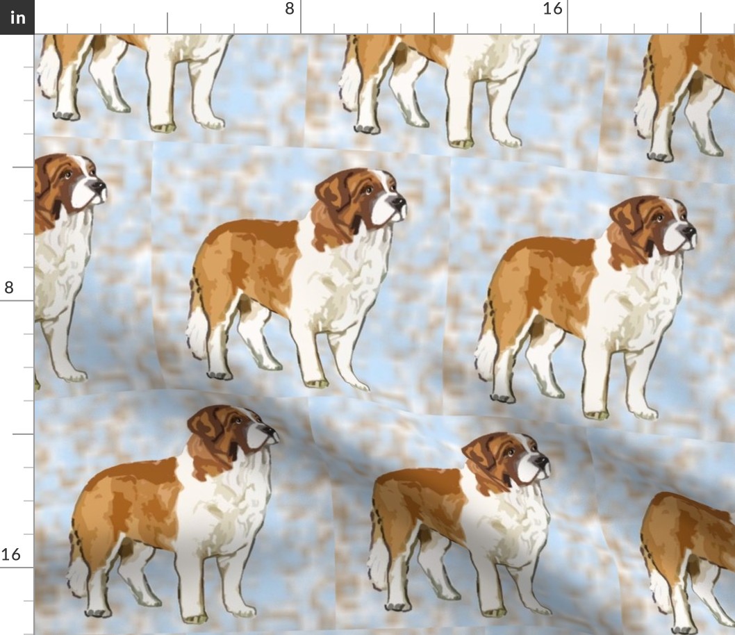 saint_bernard_