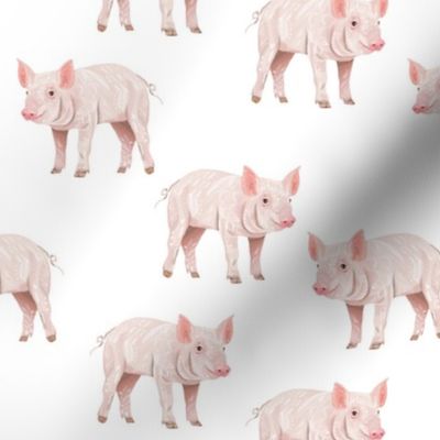 Piggies - Smaller Scale