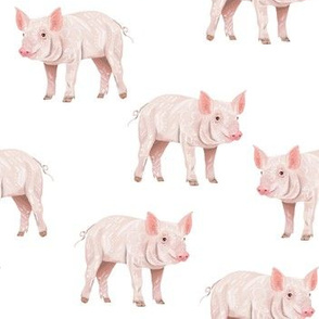 Piggies - Smaller Scale