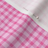 Gingham Pink on Pink