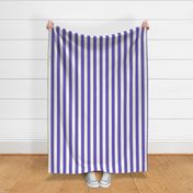 Cabana Stripes Purple White Accent 300L