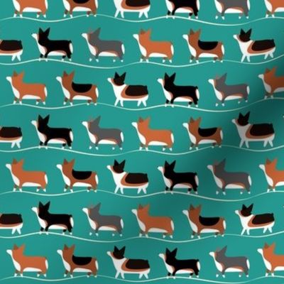 Corgis on Parade in Teal