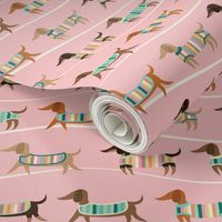 Wiener Dogs on Parade in Pink