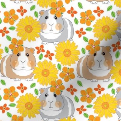 large guinea-pigs-with-yellow gerber daisies