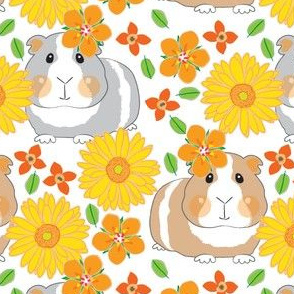 large guinea-pigs-with-yellow gerber daisies