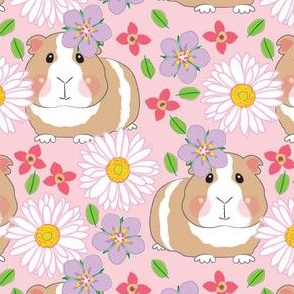large guinea-pigs-with-white-gerber-daisies-on-pink