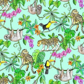 Rainforest Friends - watercolor animals on mint green - small