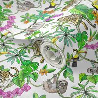 Rainforest Friends - watercolor animals on plain white - small