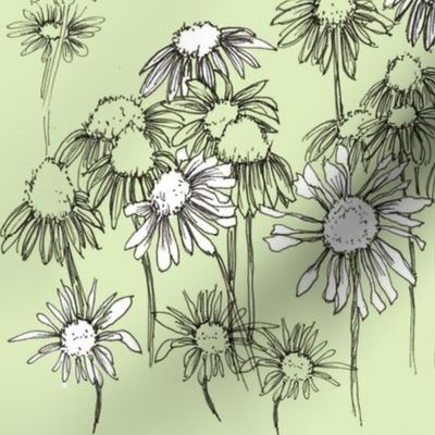 Green Coneflower