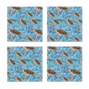 Sea Turtles #2 swimming small print 