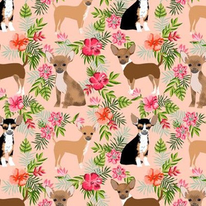 Chihuahua hawaii florals hibiscus dog breed fabric pattern pink