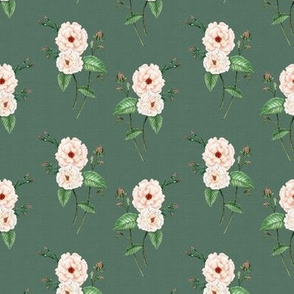 Roses Soft Peach Vintage Green, Smaller