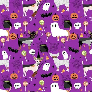 Chihuahua halloween dog breed fabric pattern purple 