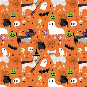Chihuahua halloween dog breed fabric pattern orange