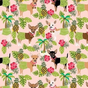 Chihuahua hula skirts tropical dog breed fabric pattern blush