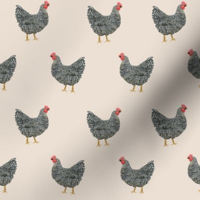 Plymouth Rock chicken breed farm sanctuary fabric pattern beige