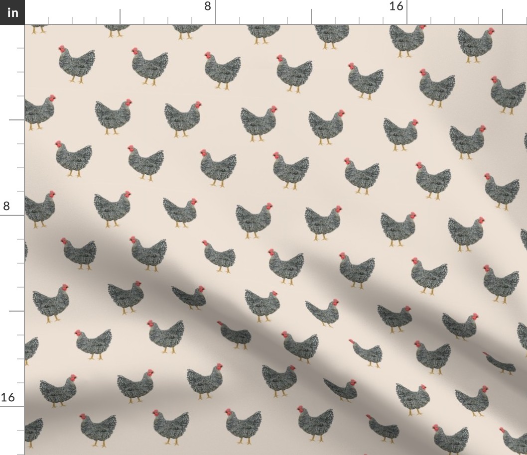 Plymouth Rock chicken breed farm sanctuary fabric pattern beige