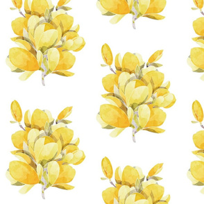 Normal scale // Yellow Magnolia Spring Bouquet