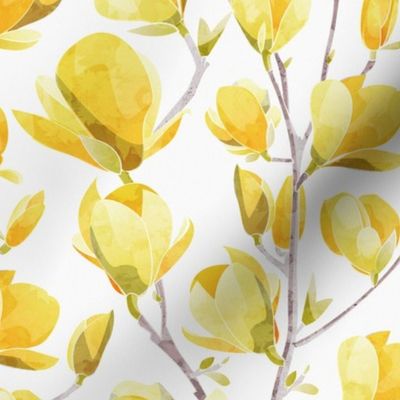 Normal scale // Yellow Magnolia Spring Bloom 2 // white background