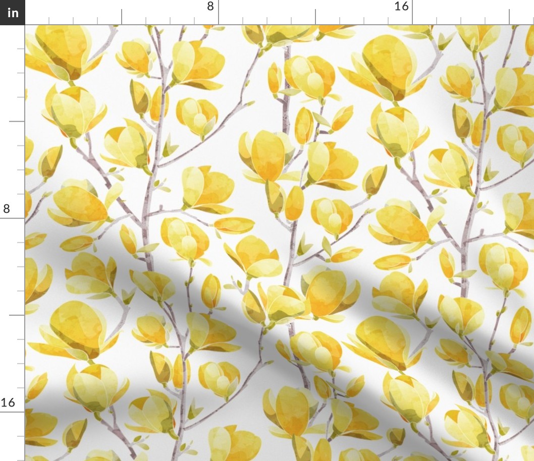 Normal scale // Yellow Magnolia Spring Bloom 2 // white background