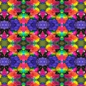 IMG_3642_Purple_Rainbow_Chrysanthemum_Pattern