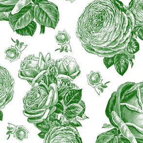 Toile Roses Green