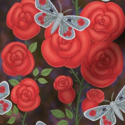 red roses with spider web and rose moth