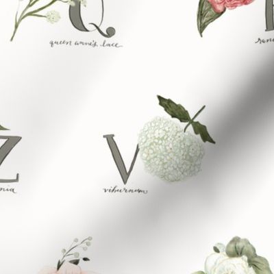 Garden Flowers Alphabet