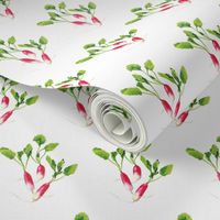 Raspberry Pink Radishes with Green Leaves on a White Background