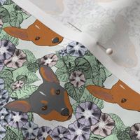 Small Floral Toy Fox Terrier portraits