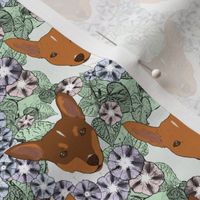 Small Floral brown Toy Fox Terrier portraits