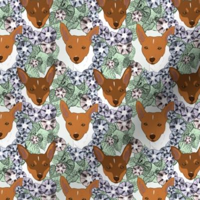 Small Floral brown Toy Fox Terrier portraits