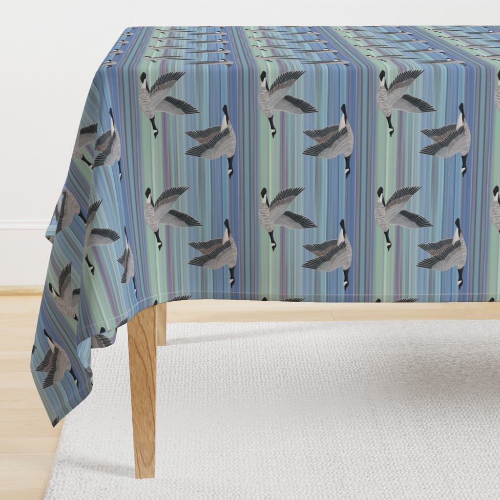 Canada Geese on aqua blue