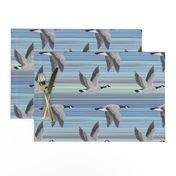 Canada Geese on aqua blue