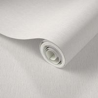 Parchment White Textured Solid