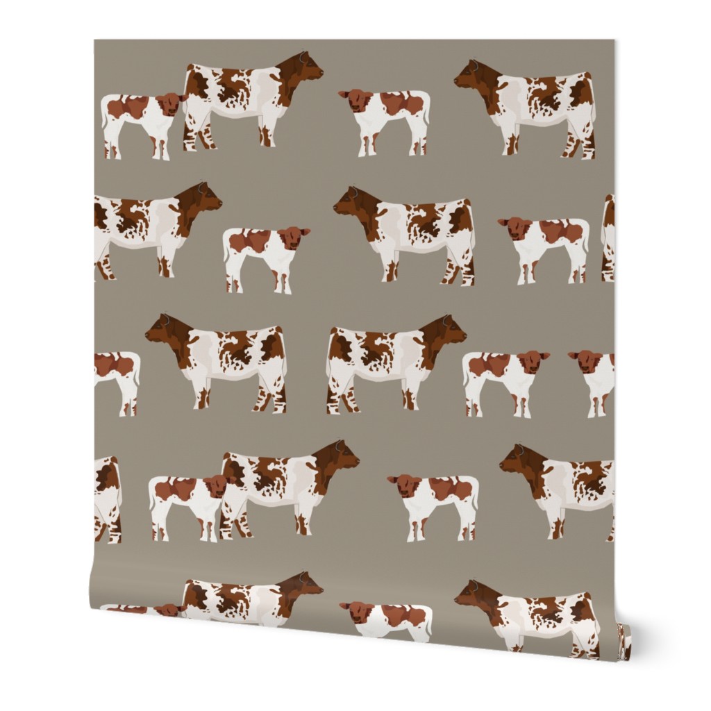 shorthorn cattle and calf fabric cows fabric - brown