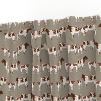 shorthorn cattle and calf fabric cows fabric - brown