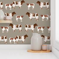 shorthorn cattle and calf fabric cows fabric - brown